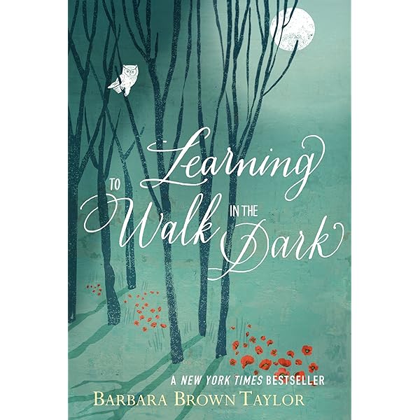 Learning to Walk in the Dark: Taylor, Barbara Brown: 9780062024343