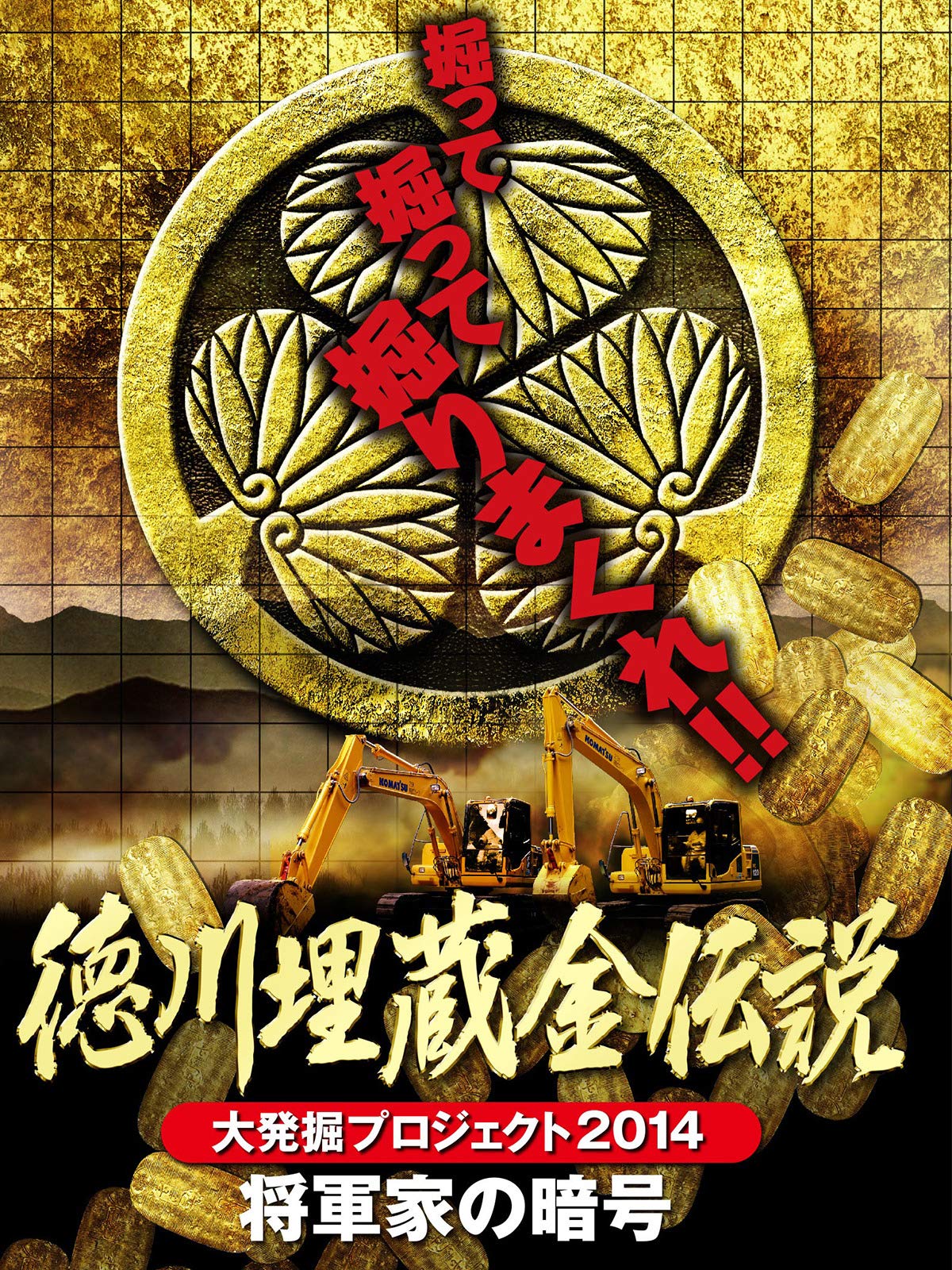 Amazon Co Jp 徳川埋蔵金伝説 大発掘プロジェクト14 将軍家の暗号を観る Prime Video