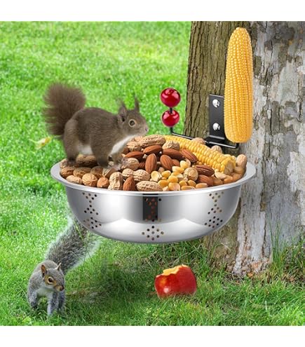 SINAMEES Table de pique-nique écureuil – Table avec banc – Grande surface d'alimentation pour