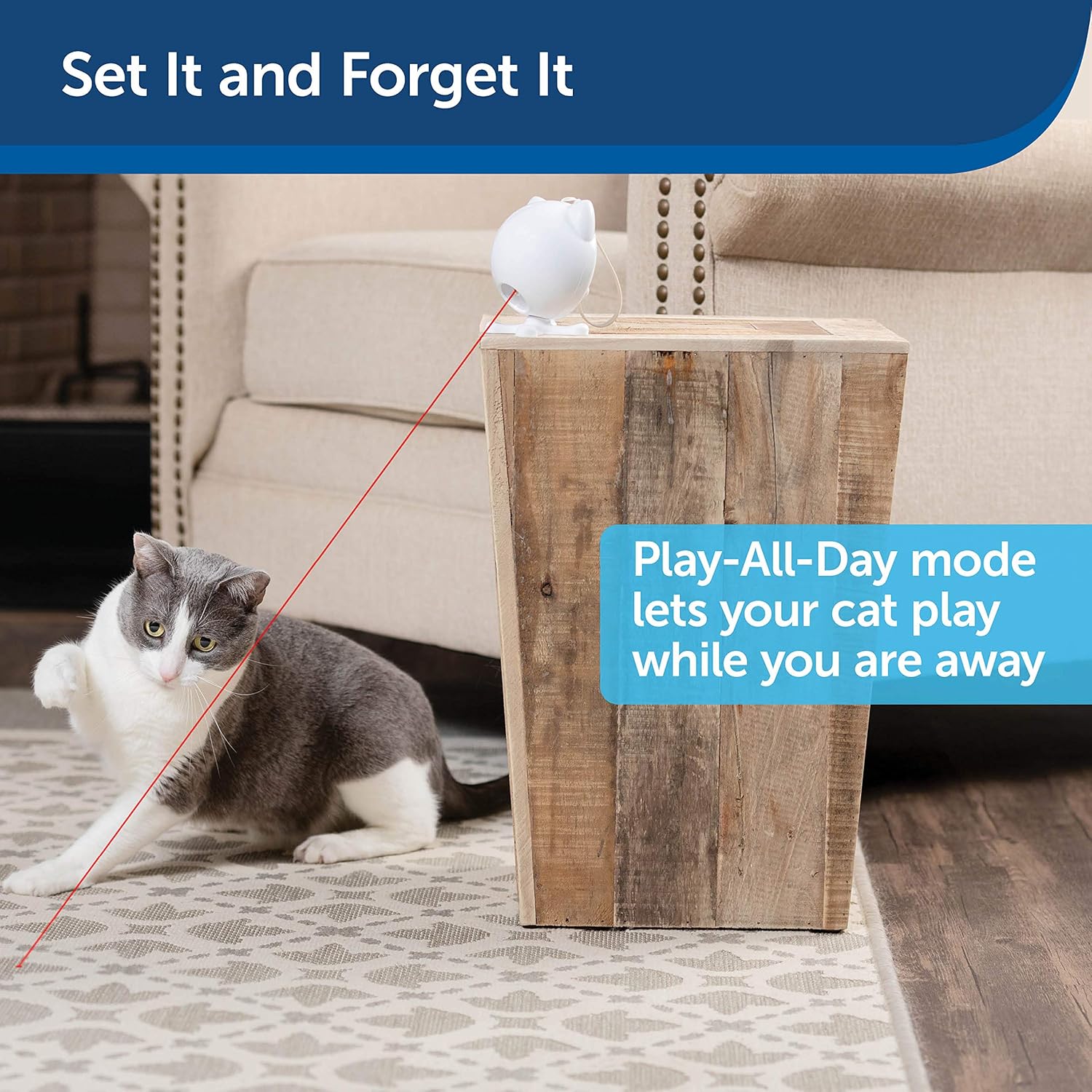 PetSafe Dancing Dot - Interactive Laser Cat Toy - 2 Play Modes - Works Great on Elevated Surfaces : Pet Supplies