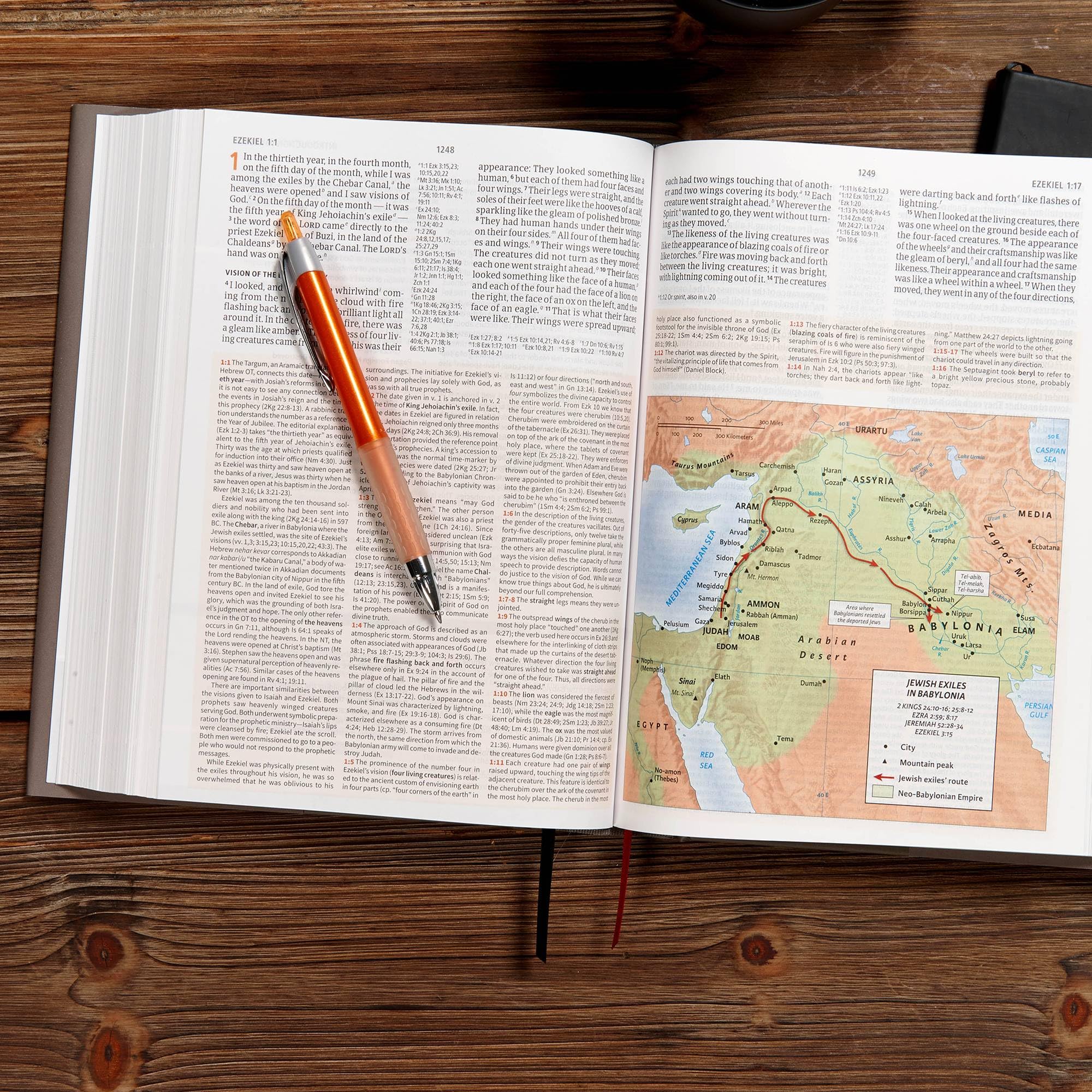 CSB Study Bible, Hardcover, Red Letter, Study Notes and Commentary, Illustrations, Articles, Word Studies, Outlines, Timelines, Easy-to-Read Bible Serif Type CSB Study Bible, Hardcover, Red Letter, Study Notes and Commentary, Illustrations, Articles, Word Studies, Outlines, Timelines, Easy-to-Read Bible Serif Type Hardcover Kindle
