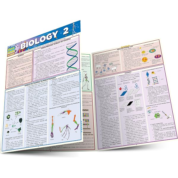 Physiology: QuickStudy Laminated Reference Guide (QuickStudy