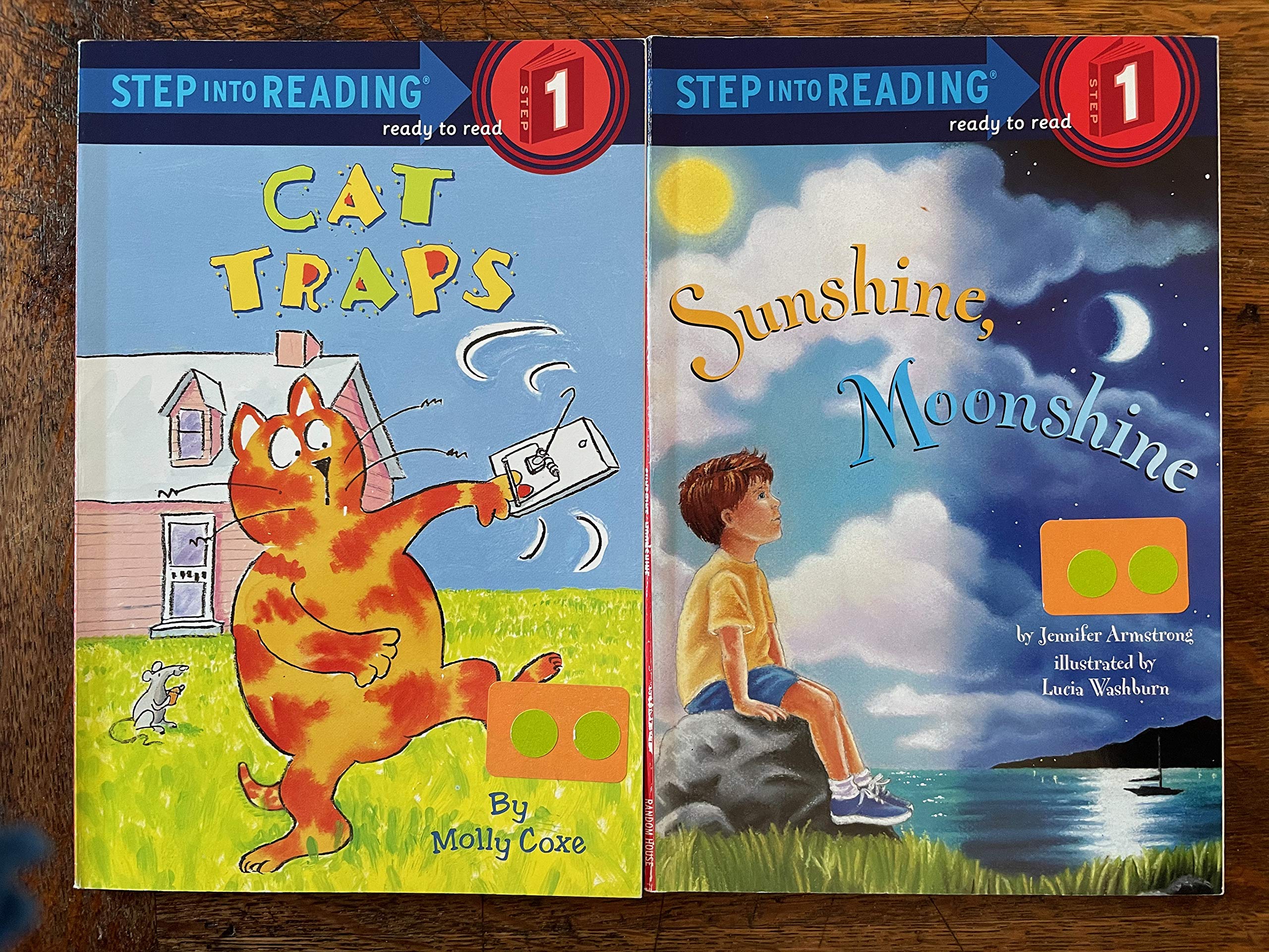 Step Into Reading Book Set Step 1 Preschool Kindergarten Readers Danette Randolph Robin Wolfe Amazon Com Books
