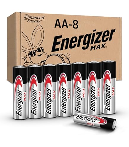 Amazon.com: Energizer (Pack of 2) E91BP-4 AA Alkaline 4