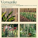 BPIL Bamboo Plant Canes 2ft-10ft Heavy Duty Garden Stake 14-16mm view 4