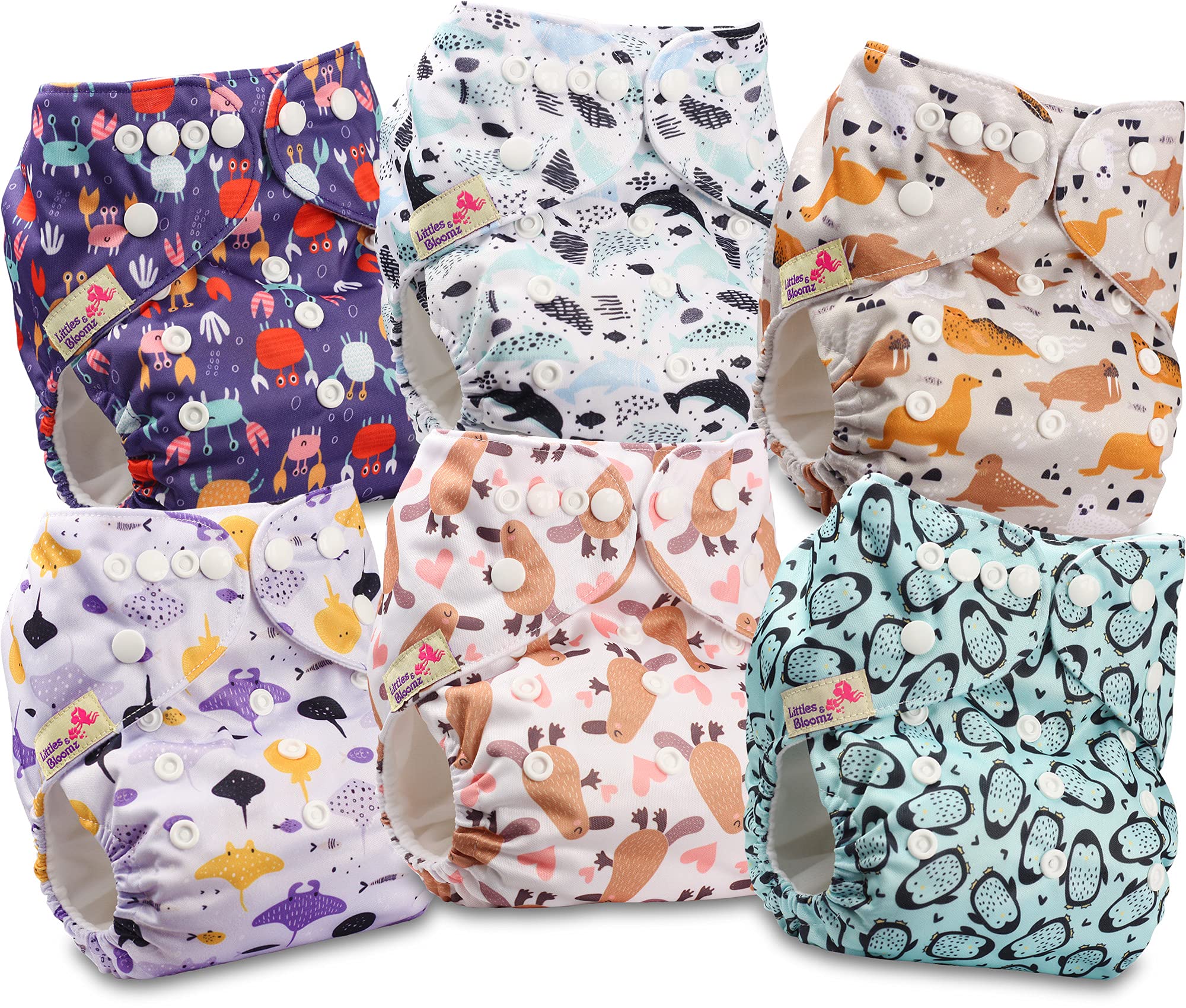 Littles and Bloomz Baby Reusable Pocket Nappy Cloth Diaper, Standard Popper, 6 Nappies, FLP2-0601