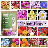 THUNDERBAY-GBSE Flowers Seed Variety Pack of 16 Sachets Approx. 3300 Seeds(100% Non GMO,16 Individually Packed Sachets, 16 Pl