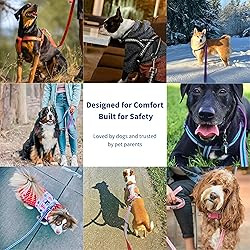 Blueberry Pet Essentials Reflective Better Basics
