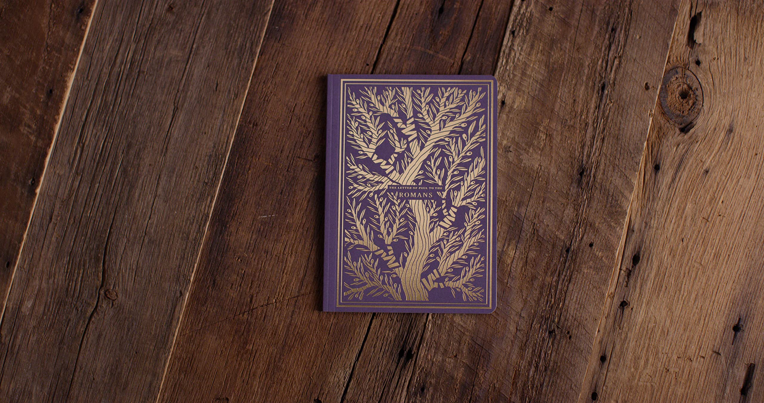 ESV Illuminated Scripture Journal: Romans