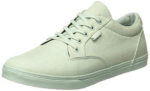 vans winston low womens skate shoes