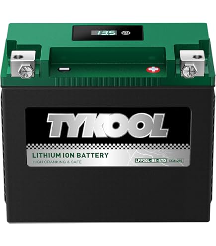 TYKOOL YTX20L-BS/YTX20HL/YB16CL-B High Performance LiFePO4