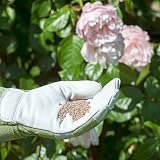 Miracle-Gro Rose and Shrub Fast Acting Granules 750 g Plant Food view 3