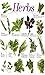 Herbs