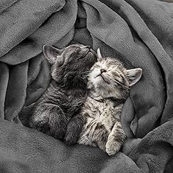Utopia Bedding Fleece Blanket Queen Size Grey