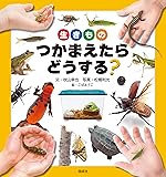生きもの つかまえたら どうする?