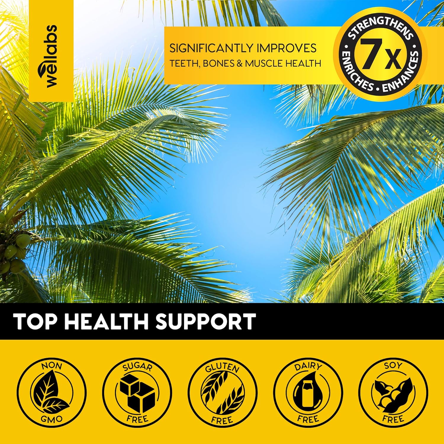 Vitamin D3 Drops - Extra Strength Vitamin D3 10000 IU - Made in The USA - High Dose Vitamin D3 - Premium & Natural Vitamin D3 - The Sunshine D3 Vitamin Supplement - Organic & Raw Vitamin D: Health & Personal Care
