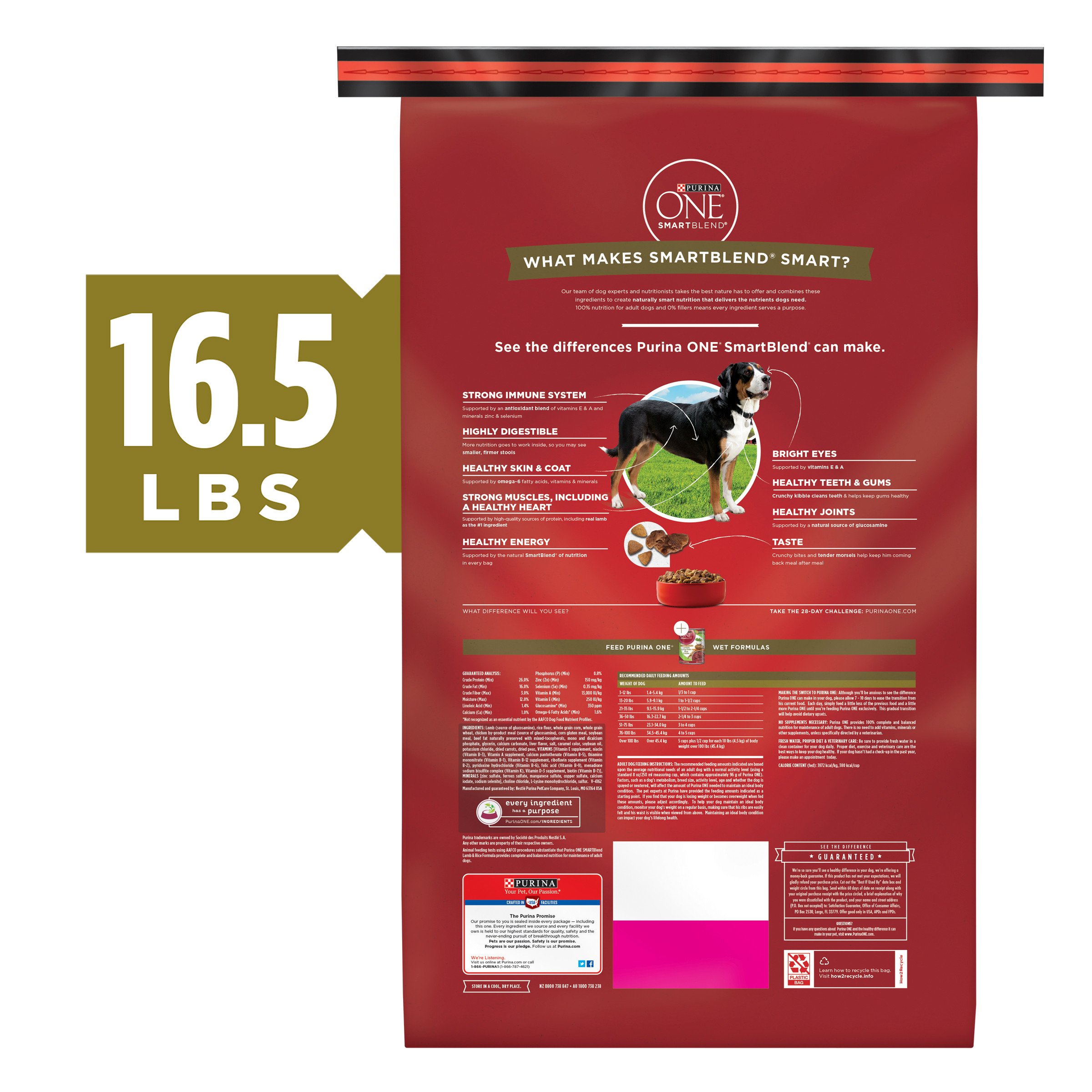 Purina ONE SmartBlend Natural Lamb Formula Adult Dry Dog Food