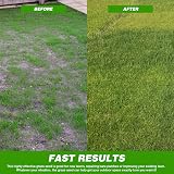 GroundMaster GroundMaster Premium Grass Seed 1kg - Fast Germinating Lawn Mix view 5