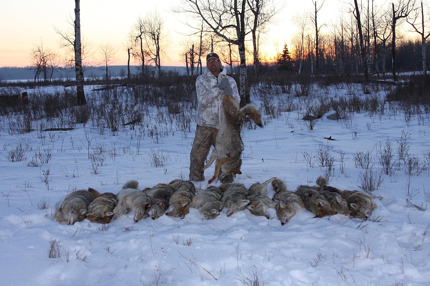 Predator Quest - Ruffidawg Coaxer - Les Johnson - Predator Call - Coyote Hunting – Mouth Call : Coyote Calls And Lures : Sports & Outdoors