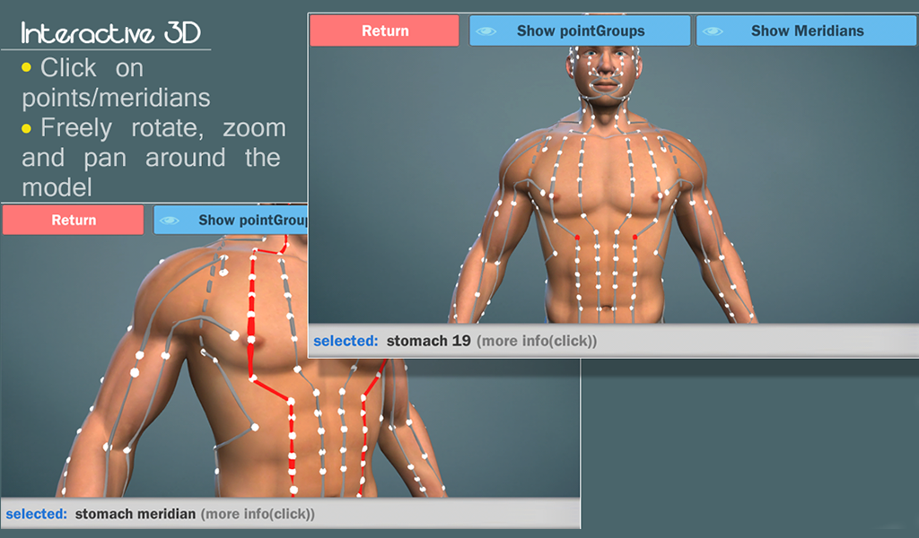 Easy Acupuncture