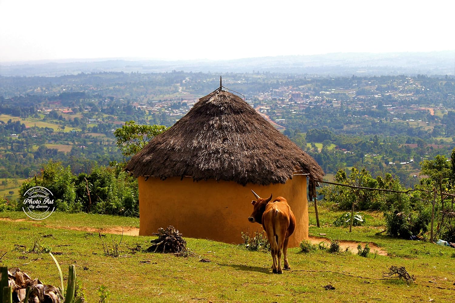 Amazon Com 594 African Mud Hut And Cow Signed Photo Print Handmade