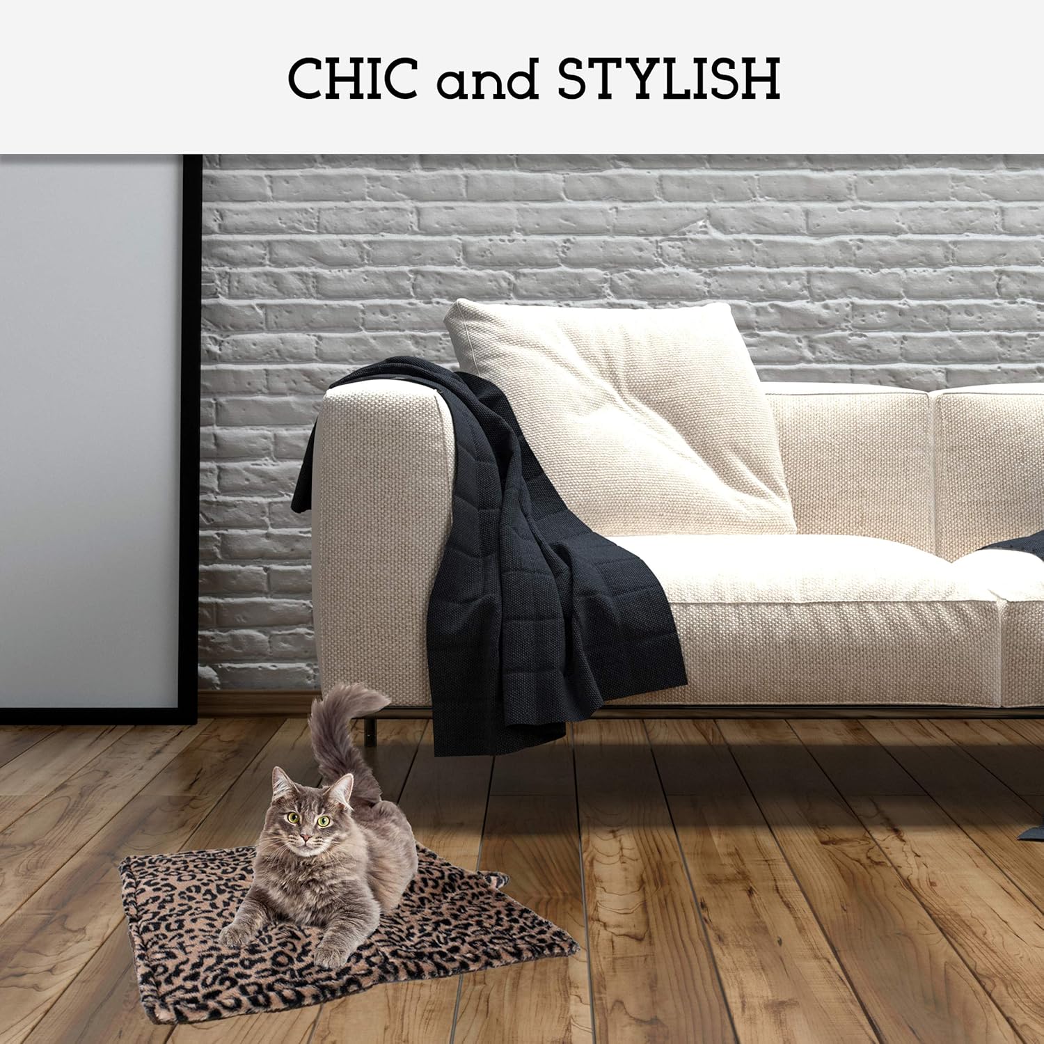 Thermal Cat Pet Dog Warming Bed Mat (Beige, Regular) : Self Warming Pet Bed : Pet Supplies