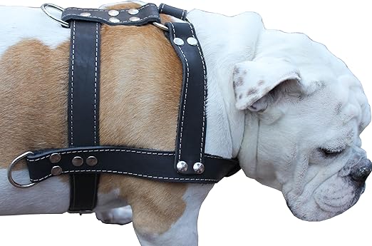dog pulling harness amazon
