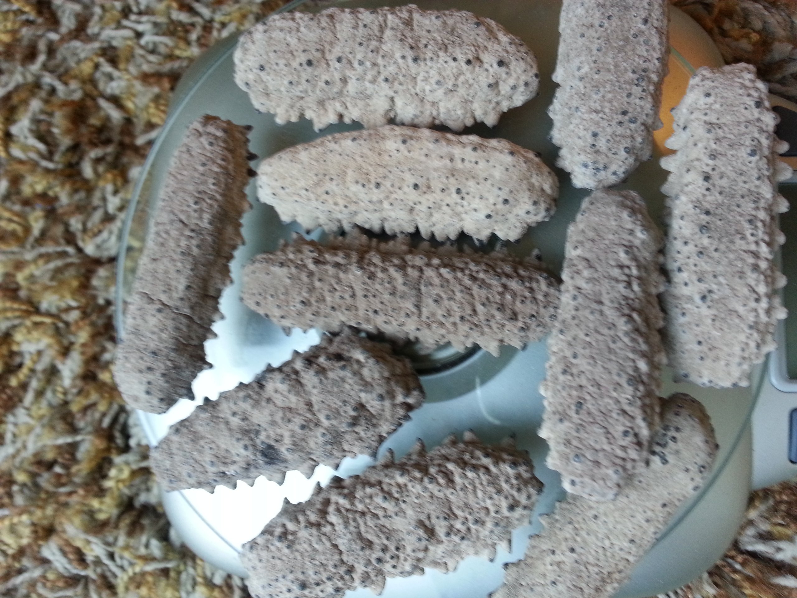 ERLIN 1LB Sun Dried red Sea Cucumber from Alaska medium