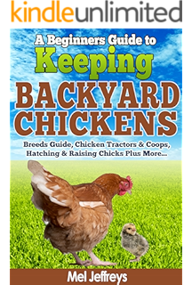 Backyard Chickens The Essential Backyard Chickens Guide For