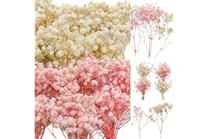 GLICRILI 100Pcs Mini Dried Babys Breath Flowers Pink & White, 5600+ Baby's Breath Bulk Bouquet, Natural Dried Gypsophila Flowers for Resin, Home Vase Decor, Card Making DIY, Party, Wedding Flower Wreaths