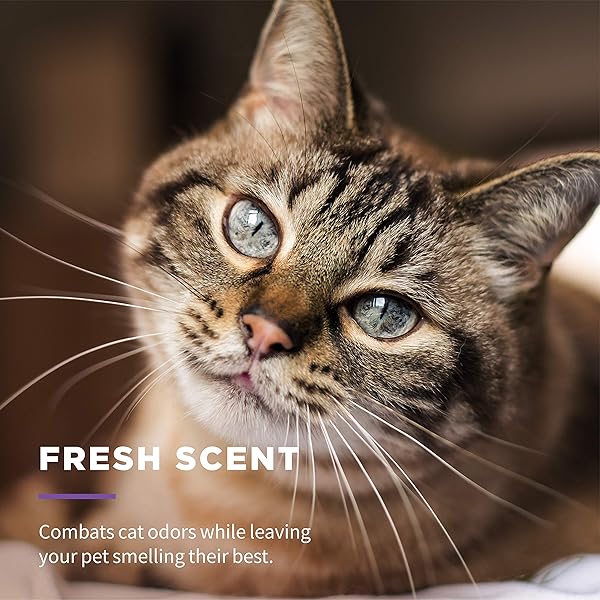 WET ONES FOR CATS FRESHENING WIPES, MULTI-PURPOSE CAT GROOMING WIPES WITH ALOE VERA, HELPS REMOVE DIRT, ODOR, AND DANDER BETWEEN BATHS, FRESH SCENT, 50 COUNT