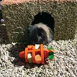 Rosewood Large Carrot Cottage Edible Toy for Small Animals view 4
