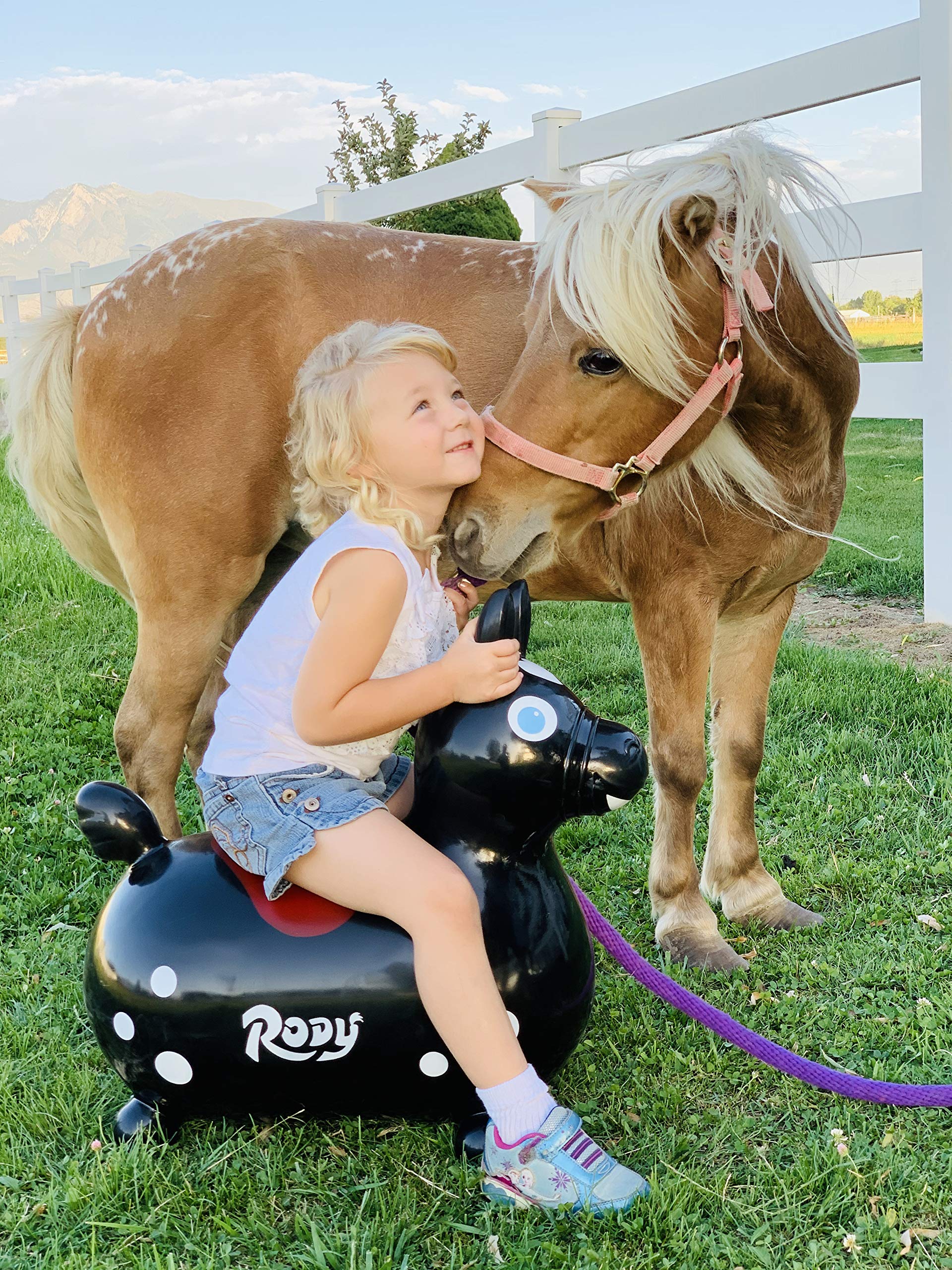 GYMNIC Rody Bounce Horse Black