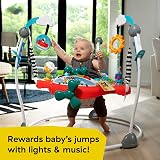 Baby Einstein Ocean Explorers Airplane Adventure 2-in-1 Jumper 6m+ view 3