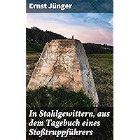 In Stahlgewittern, aus dem Tagebuch eines Stoßtruppführers (German Edition) book cover