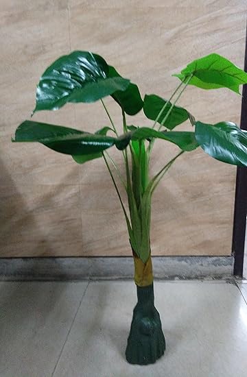Buy Ethnic Karigari Natural Looking Artificial Money Plants