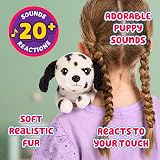 Little Live Pets Pepper the Dalmatian Mini Puppy with 20+ Sounds view 3