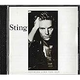 Nothing Like The Sun