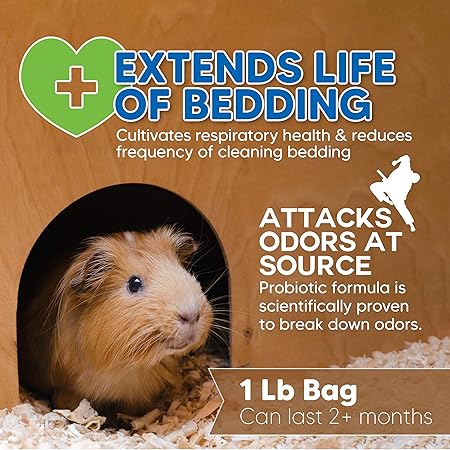 guinea pig probiotic