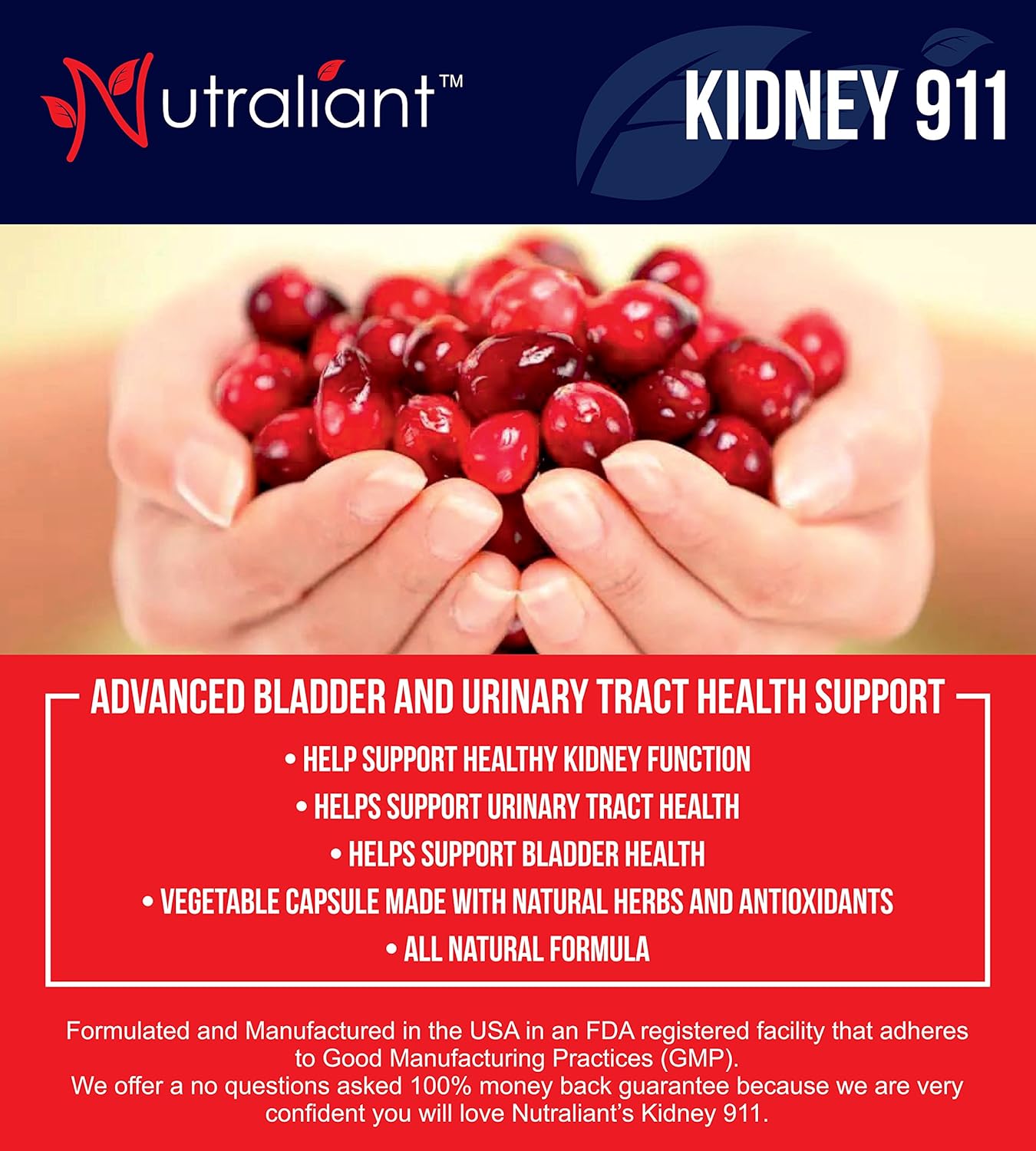 #1 KIDNEY CLEANSE SUPPLEMENT - KIDNEY 911 Pills Best ...