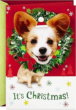 amazon dog christmas