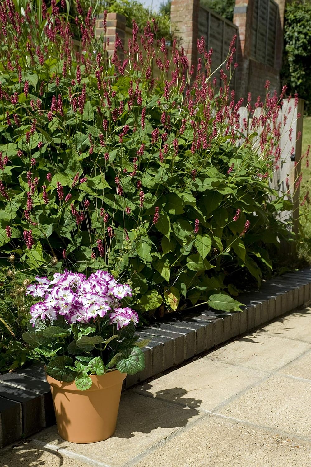 Amazon Com Greenbrokers White Terracotta Artificial Plastic Patio Planter Geraniums 45 Cm 45cm Garden Outdoor