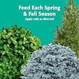 Miracle-Gro Tree & Shrub Plant Food Spikes 12-Count 15-5-10 NPK view 4