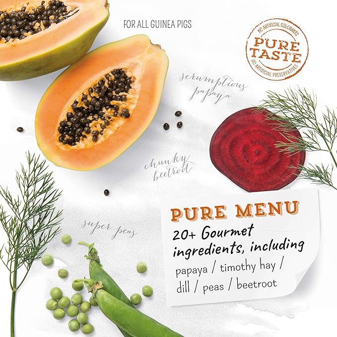 guinea pig papaya