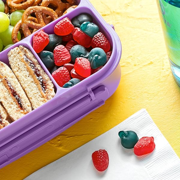 FUNABLES FRUITY SNACKS, MIXED BERRY FLAVORED SNACKS, 32 OZ 40 CT