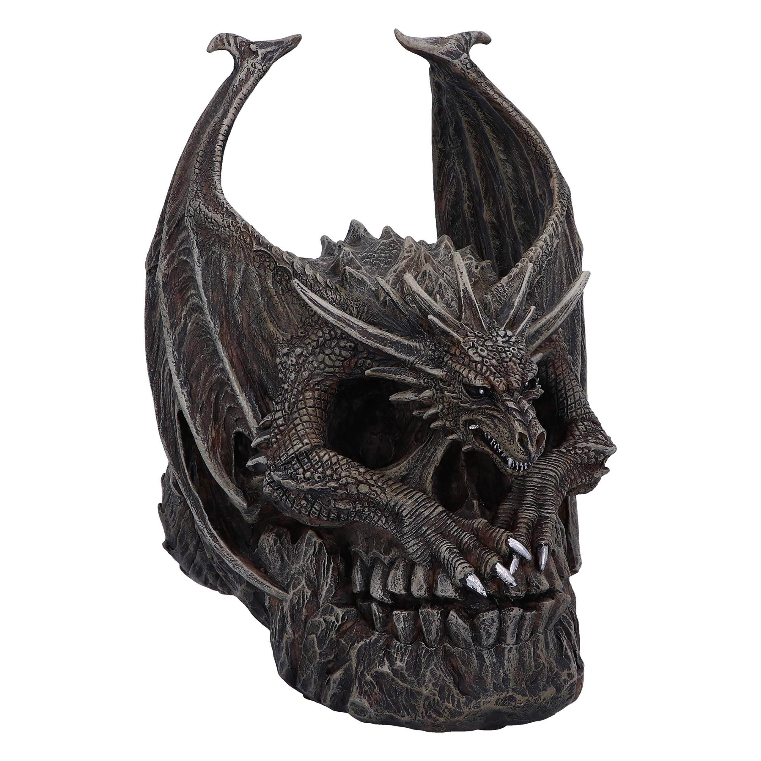 Nemesis Now Spiral Dark Gothic Draco Skull Dragon Figurine Ornament, Brown, 19cm