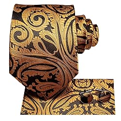 Hi-Tie 3 Pcs Gift Box Mens Tie Set Necktie with