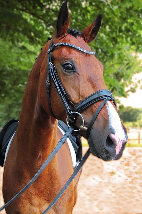 Buy Stubben Trensenzaum 2010 Magic Tack Black Black Fs