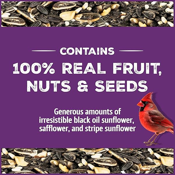 PENNINGTON PRIDE SONGBIRD NUT & FRUIT BLEND, WILD BIRD SEED FOR OUTSIDE FEEDERS, ADVANCED NUTRITION FORMULA FOR BIRD HEALTH, 10-LB. BAG