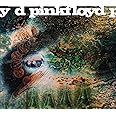 A Saucerful Of Secrets (CD)